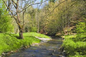 33. ročník Jarního výšlapu údolím Budišovky a Odry na Marii ve Skále
